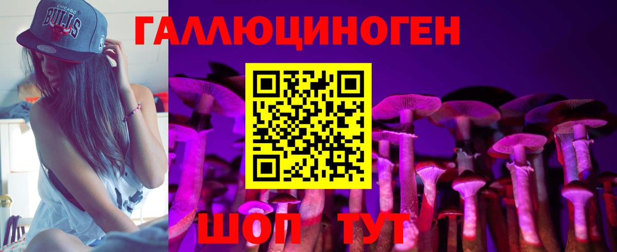 Галлюциногенные грибы прущие грибы  Вход с VPN  Луга 